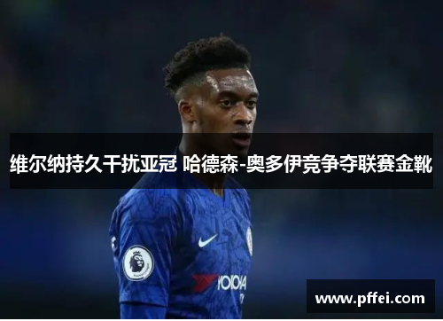 维尔纳持久干扰亚冠 哈德森-奥多伊竞争夺联赛金靴
