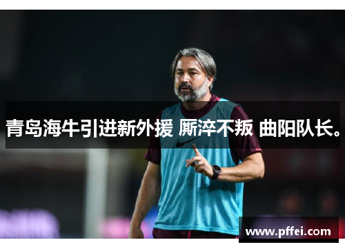 青岛海牛引进新外援 厮淬不叛 曲阳队长。